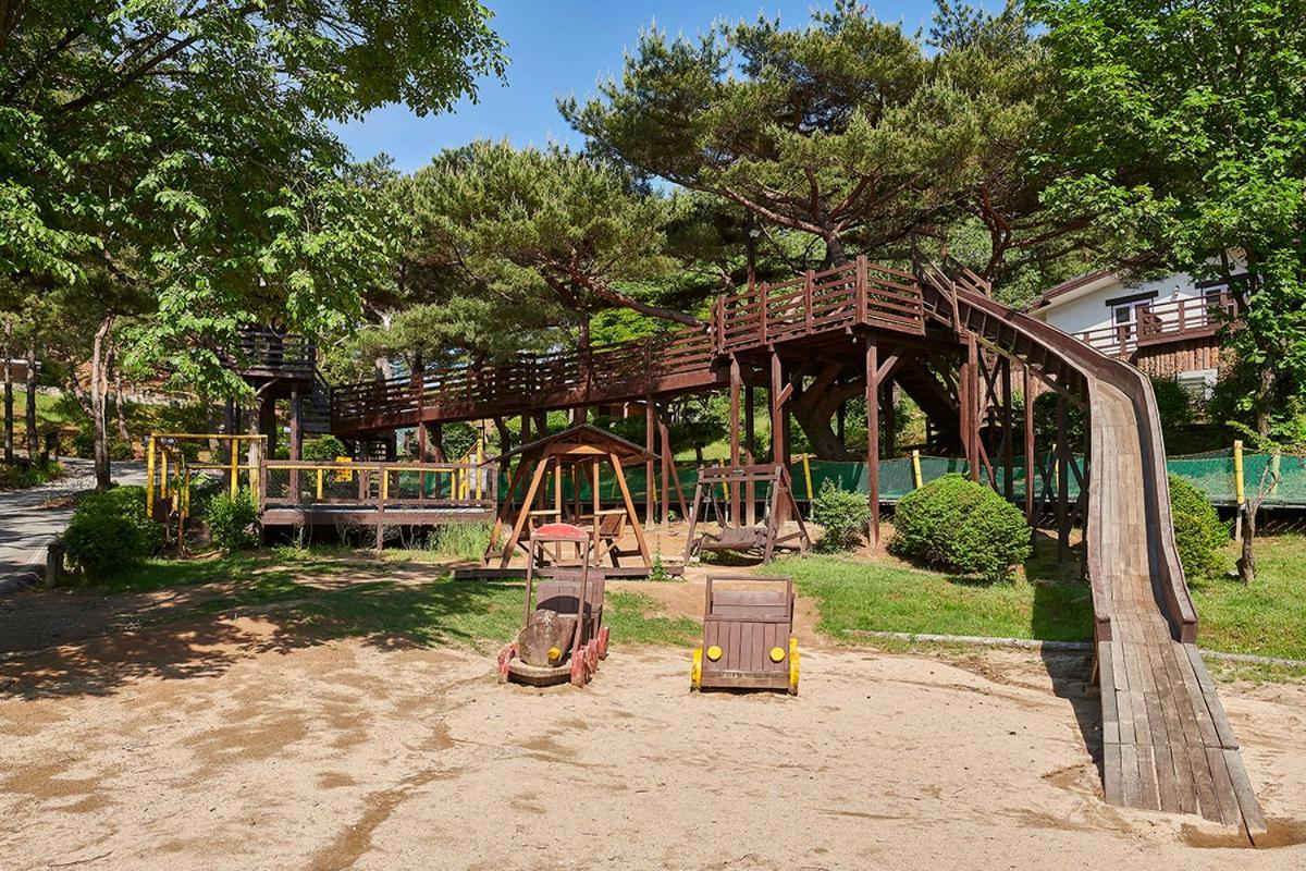Club Es Jecheon Resort Chech'ŏn エクステリア 写真